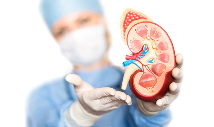 Beyond the Surgery: Understanding the True Cost of a Kidney Tr...